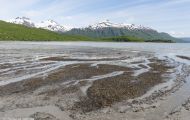 Alaska, Southwest - Katmai National Park & Preserve 12.JPG