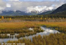 Alaskas Kenai Halbinsel - Entlang dem Scenic Seward Highway.JPG