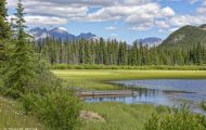 Alberta, Canadian Rockies - Banff Area - Vermillion Lakes 14.JPG