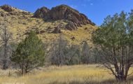 Arizona, Southeast - Chiricahua National Monument, Bonita Canyon Drive 01.JPG