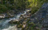 Bayern, Oberbayern - Ramsau bei Berchtesgaden  Hintersee, Zauberwald 01.JPG