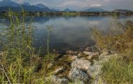 Bayern, Schwaben - Hopfensee 01.JPG