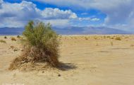 Kaliofornien, Desert - Death Valley National Park 01.JPG
