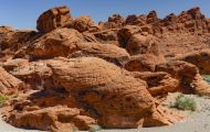 Nevada, South - Valley of Fire State Park 18.JPG
