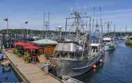 Städte, Kanada - British Columbia  Nanaimo - Fishermens Wharf 05.JPG