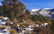 Utah, Canyon Country - Manti-La Sal Road 02.JPG