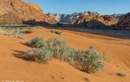 Utah, Dixie - Snow Canyon State Park 01.JPG