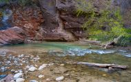 Utah, Dixie - Zion National Park 10.JPG