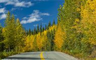 Wälder, Nadel & Mischwald - USA Alaska, Nadel & Mischwald 01.JPG