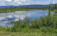 Yukon Territorries, Klondike - Alaska Highway  02.JPG