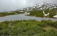 Yukon Territorries, Klondike - Along Klondike Highway 06.JPG