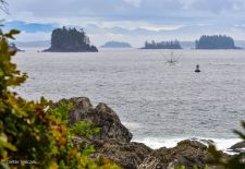 Vancouver Island - Perle im Kanadischen Westen - Ucluelet, Wild Pacific Trail