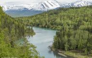 Alaska, Southcentral - Cooper Landing 01.JPG