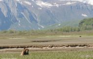 Alaska, Southwest - Katmai National Park & Preserve 16.JPG