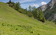 Bayern, Oberbayern - Schönau am Königssee  Jenner, Mitterkaserweg 01.JPG