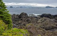 British Columbia, Vancouver Island - Ucluelet  Wild Pacific Trail 05.JPG