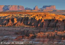 Impressionen am Lake Powell - Glen Canyon NRA, Lakeshore Drive 3.JPG