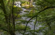 Rheinland-Pfalz, Eifel - Irreller Wasserfälle 01.JPG