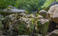 Rheinland-Pfalz, Eifel - Irreller Wasserfälle 13.JPG