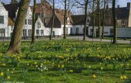 Städte, Belgien - Brügge  Zentrum - Begijnhof 02.JPG