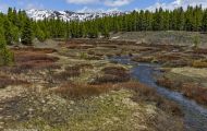 Wyoming, Northwest - Yellowstone National Park 01.JPG