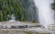Wyoming, Northwest - Yellowstone National Park Beehive Geyser 02.JPG