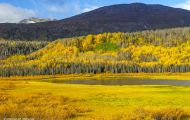Yukon Territorries, Watson Lake - Along Haines Highway 10.JPG