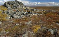 Alaska, Far North - Arctic Circle  Dalton Highway 06.JPG