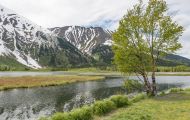 Alaska, Southcentral - Sterling Highway 03.JPG