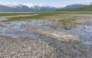 Alaska, Southwest - Katmai National Park & Preserve 14.JPG