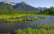 Alberta, Canadian Rockies - Banff Area - Vermillion Lakes 02.JPG