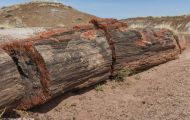 Arizona, Northcentral-Eastern - Petrified Forest National Park 06.JPG