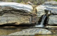 Arizona, Southeast - Tucson   Sabino Canyon 03.JPG