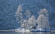 Bayern, Oberbayern - Schönau am Königssee Königssee, Seelände 12.JPG