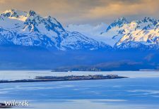 Entdeckungsreise durch Alaska - Homer Spit, Homer 1.JPG