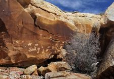 Nachrichten auf Stein im Westen der USA - Rock Art Panel, Arches NP.JPG