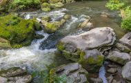 Rheinland-Pfalz, Eifel - Irreller Wasserfälle 06.JPG
