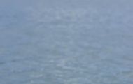 Tiere, Vögel - Regenpfeiferartige Vögel  Flussseeschwalbe_Sterna hirundo_Common Tern 04.JPG