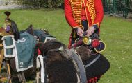 Wallonisch-Brabant, Waterloo - Reenactment 03.JPG