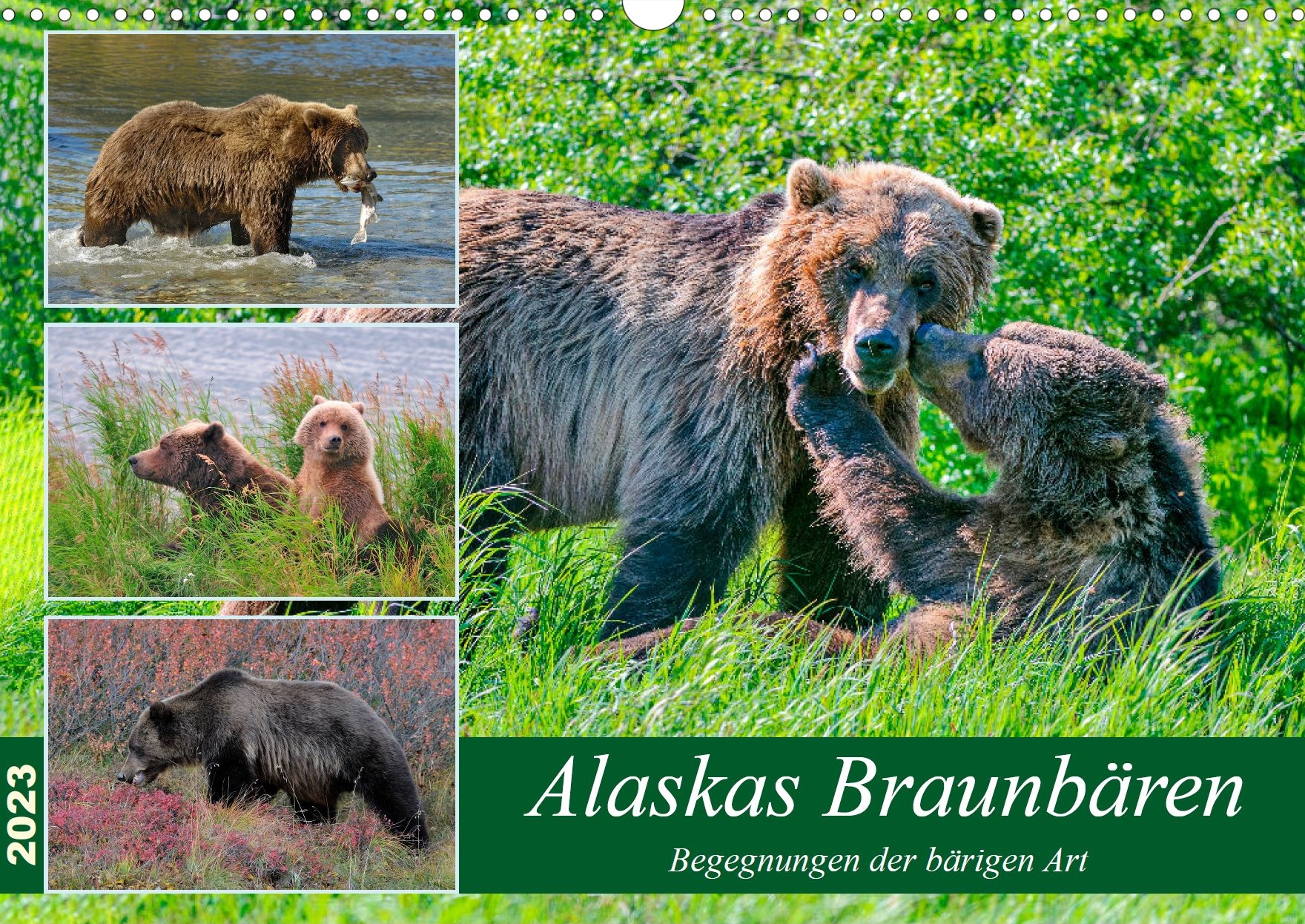 Braunbären in Alaska - Titelseite Kalender