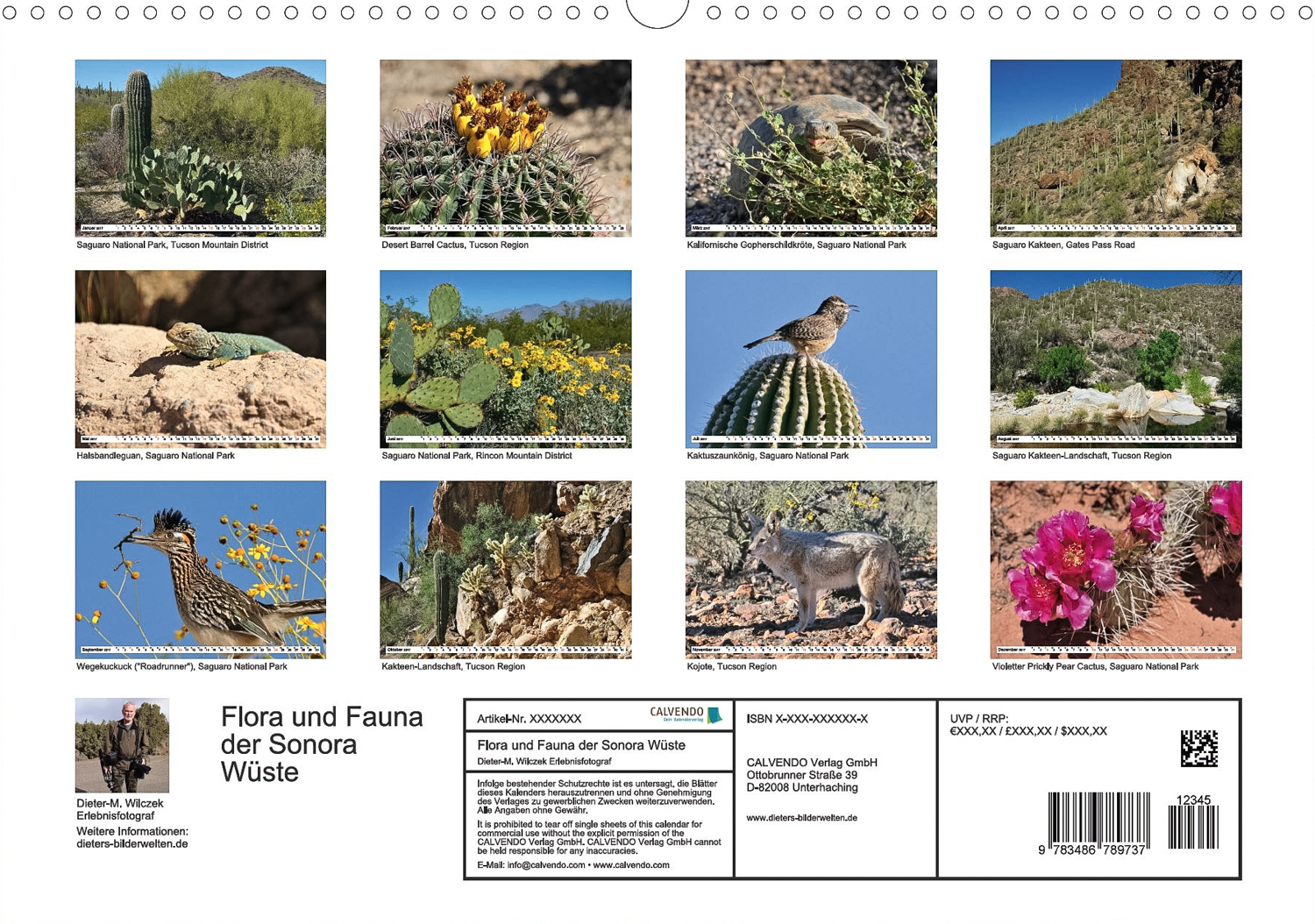 Flora und Fauna der Sonora Wüste - Rückseite Kalender