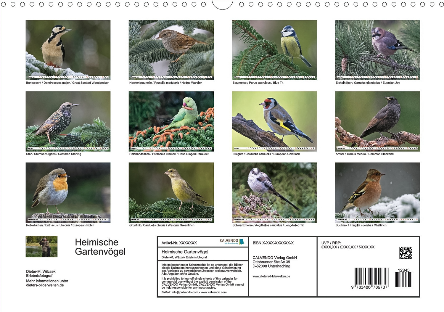 Heimische Gartenvögel - Rückseite Kalender