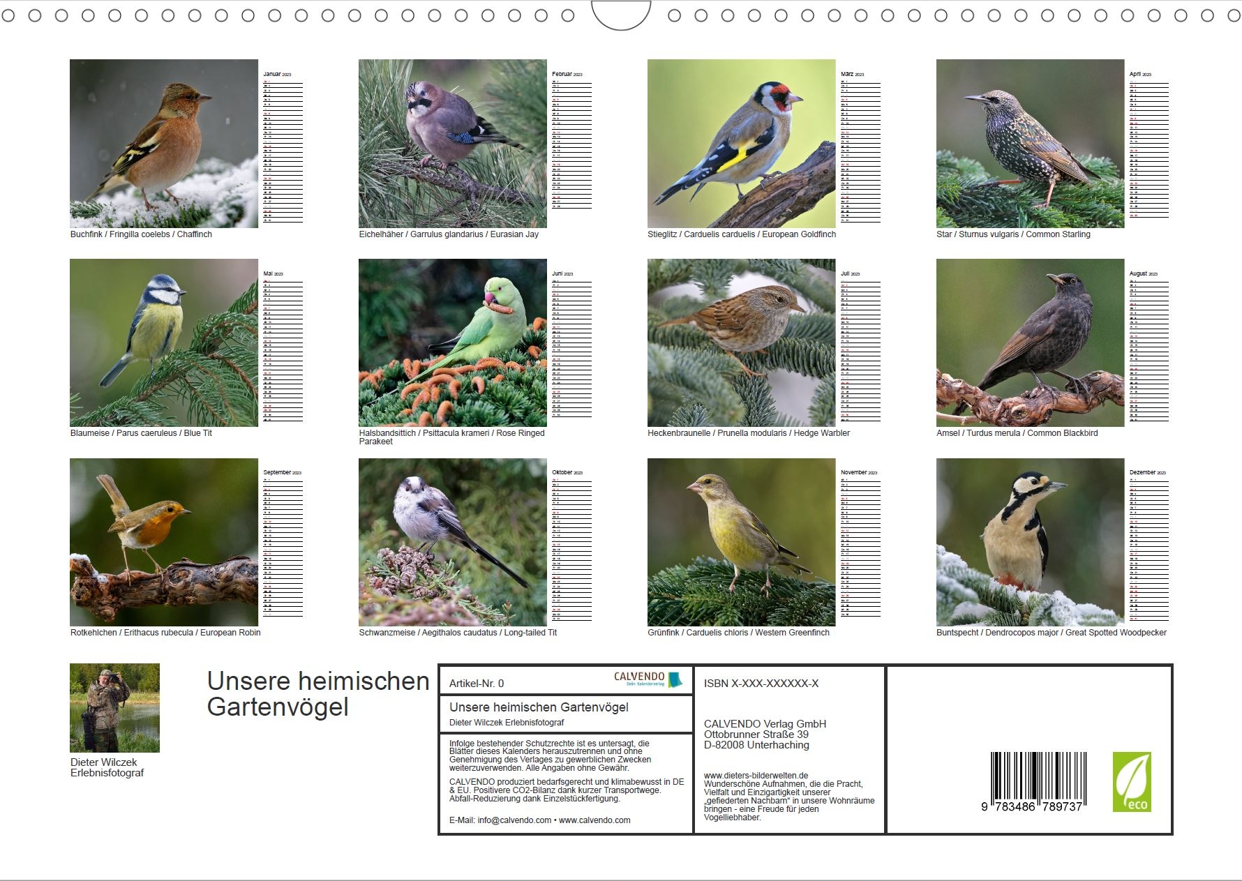 Heimische Gartenvögel - Rückseite Kalender
