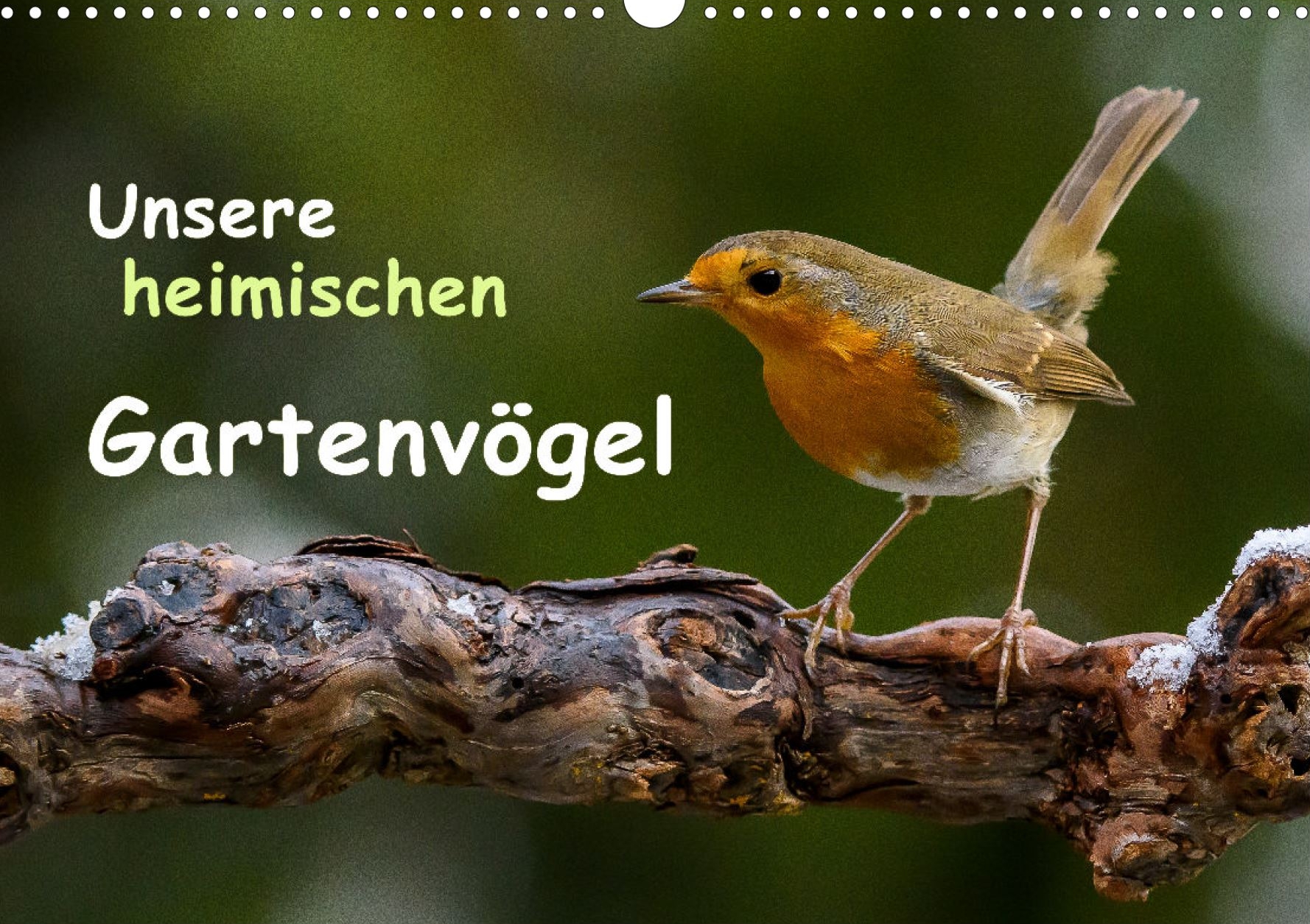Heimische Gartenvögel - Titelseite Kalender